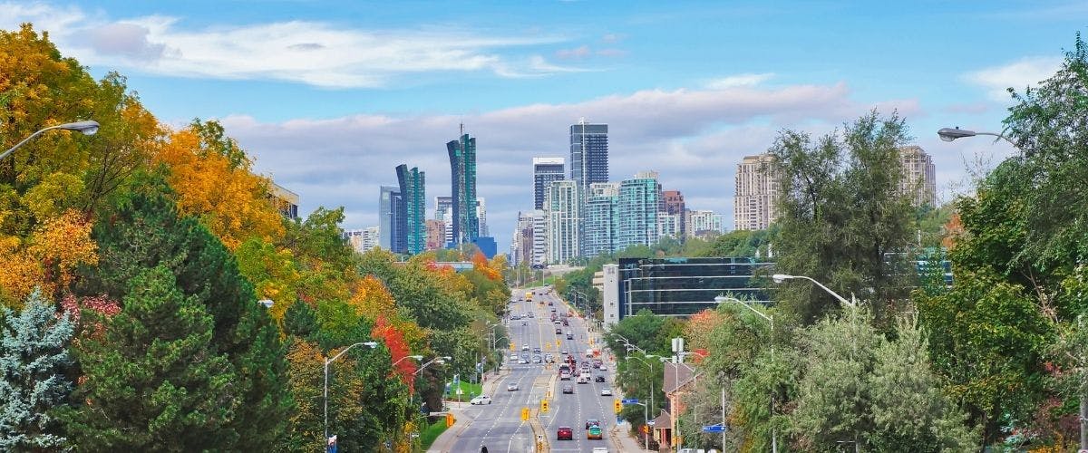 Choosing a Dentist in Toronto: A Practical Guide for New Patients